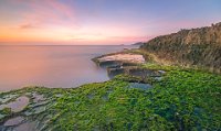 261 - MOSS SEASON OF OTTER CAVE IN VIET NAM - DO TUAN NGOC - viet nam <div